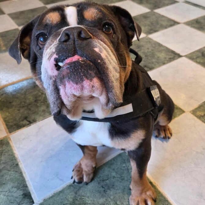 Neil – In Foster – Yorkshire & Humberside