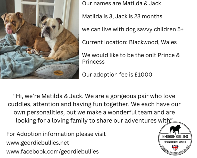 Matilda & Jack- Available – South-west & Wales