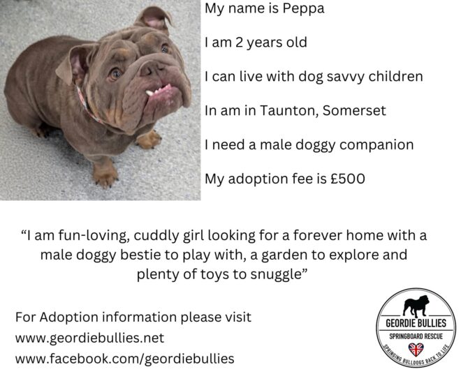 Peppa – Available – South West