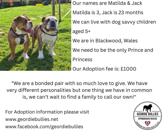 Matilda & Jack- Available – South-west & Wales