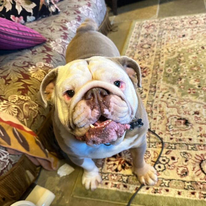 Chunk – In Foster – South East